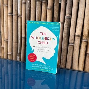 The Whole Brain Child Book